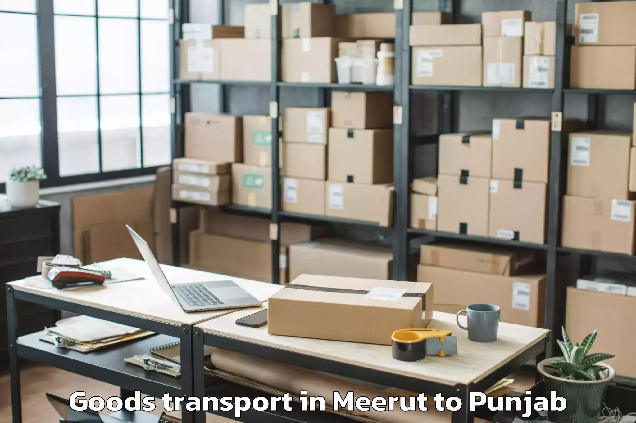 Expert Meerut to Abhilashi University Faridkot Goods Transport